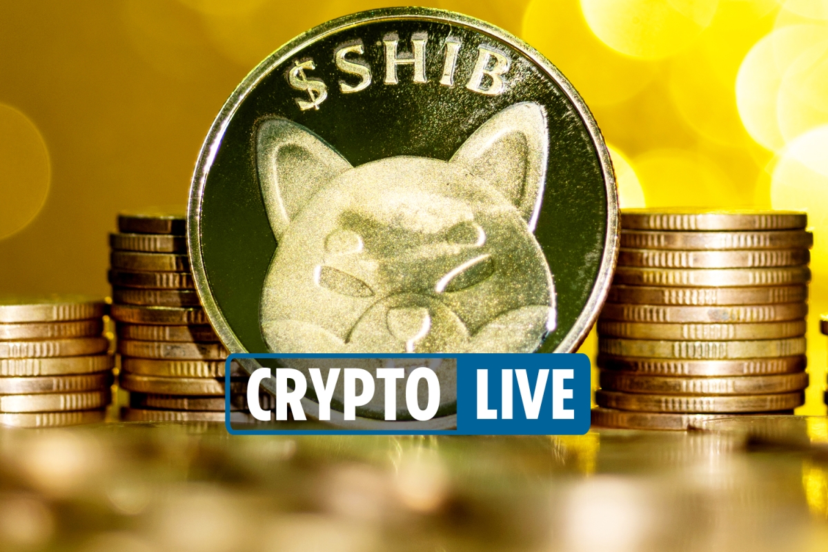 Cryptocurrency price LIVE – Bitcoin fears after 20 plunge and