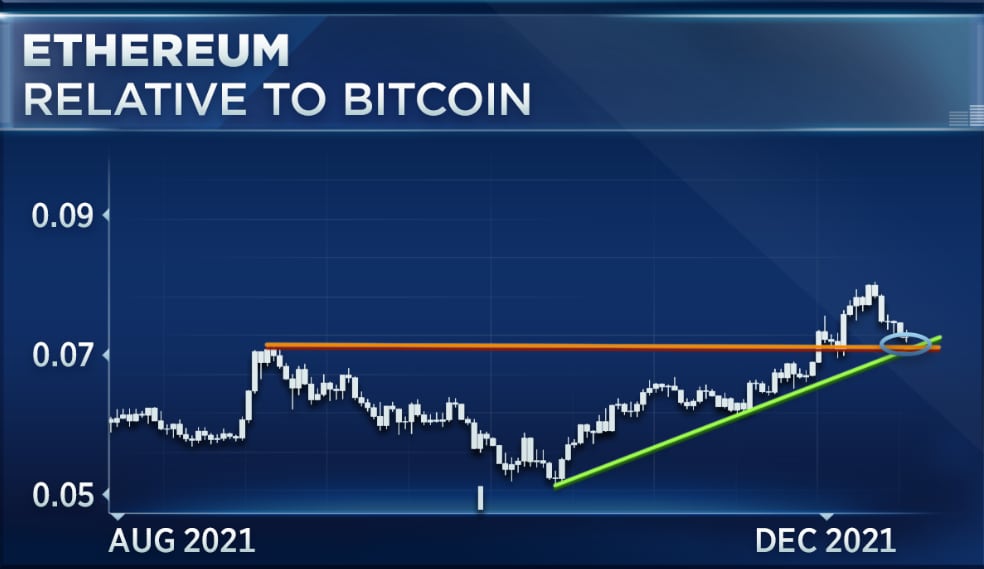 Bitcoin holds below 50000 traders share alternative crypto plays