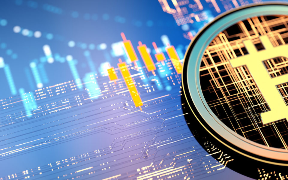 Investors warned against going all in on Bitcoin and crypto