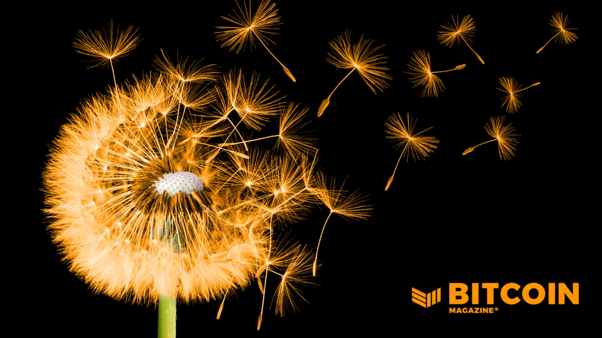 Shared Connection Of The Bitcoin Community