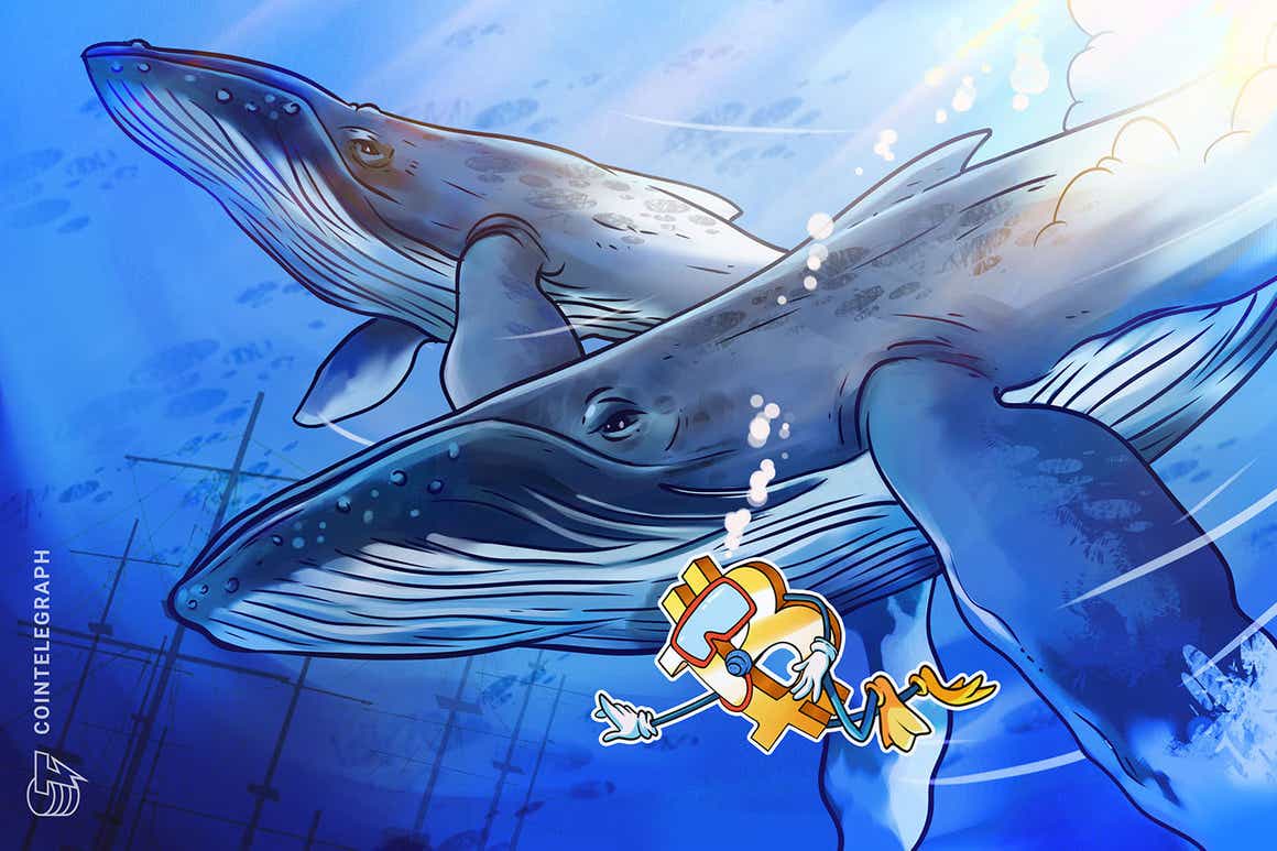 Stop panic selling — Bitcoin whales bag spare BTC as
