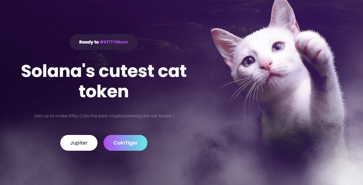 Kitty Solana Challenges Shiba Inu and Dogecoin