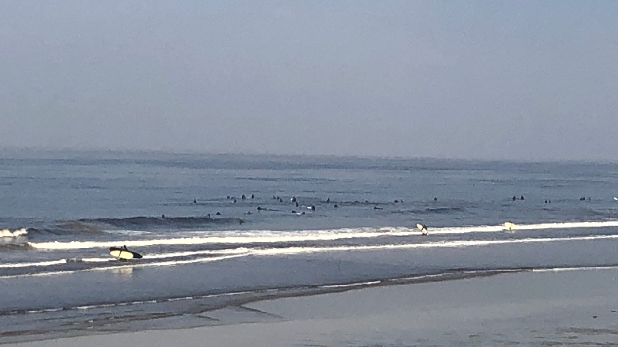 Rep Mike Levin Announces Completion of Sand Replenishment Project for